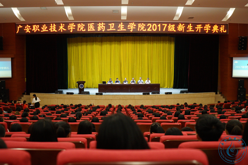 2017991491310 2017991491310