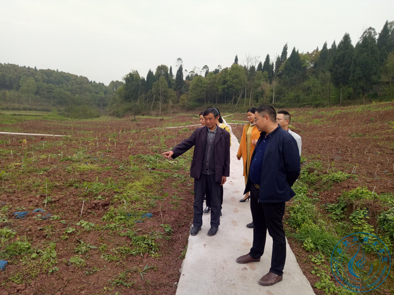 实地考察项目实施进展 实地考察项目实施进展